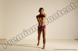 Elmer - Traditional Korean Art